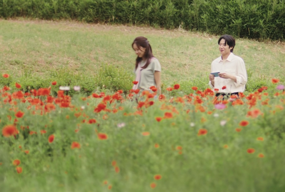 Yu Bo-na e Kwon Tae-seong no meio de um campo de papoulas vermelhas