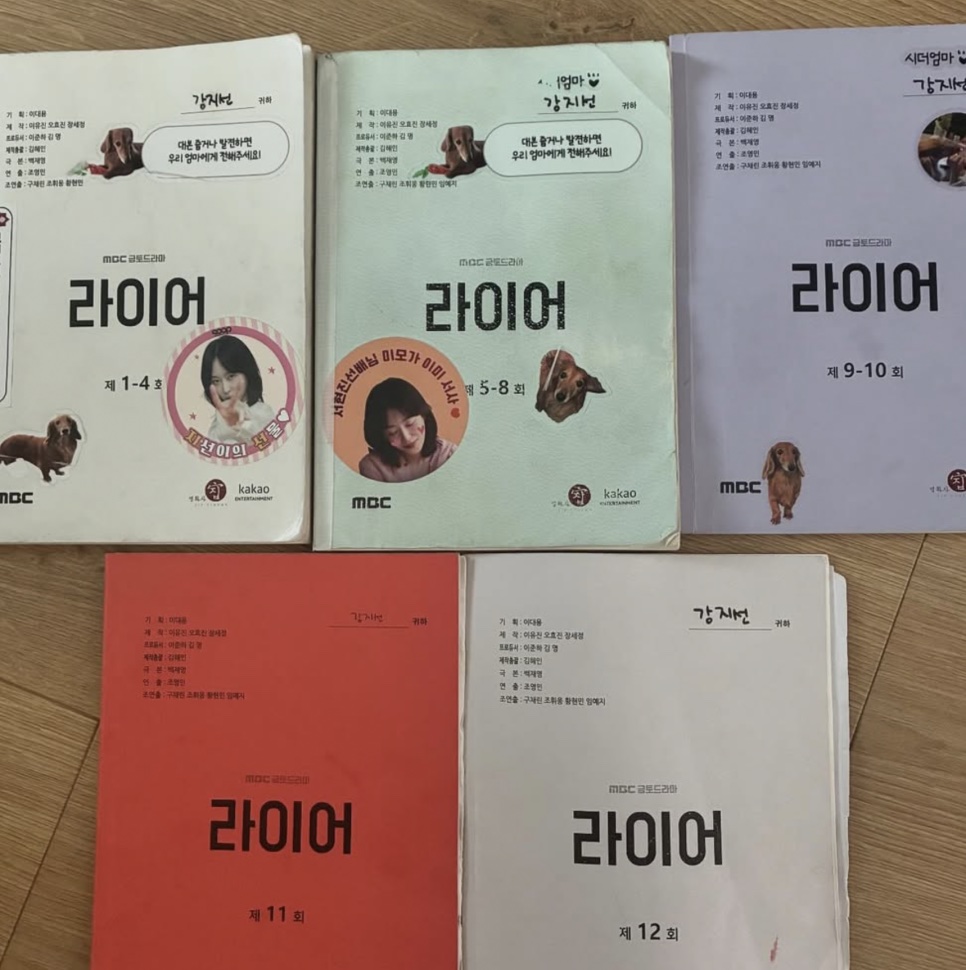 Roteiros de The Perfect Lie espalhados no chão, do episódio 1 ao 12, com adesivos de um cachorro salsicha