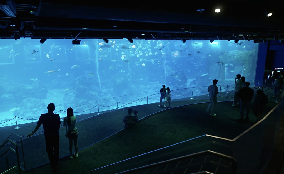 Visitantes diante do painel de vidro gigante do aquário, na penumbra