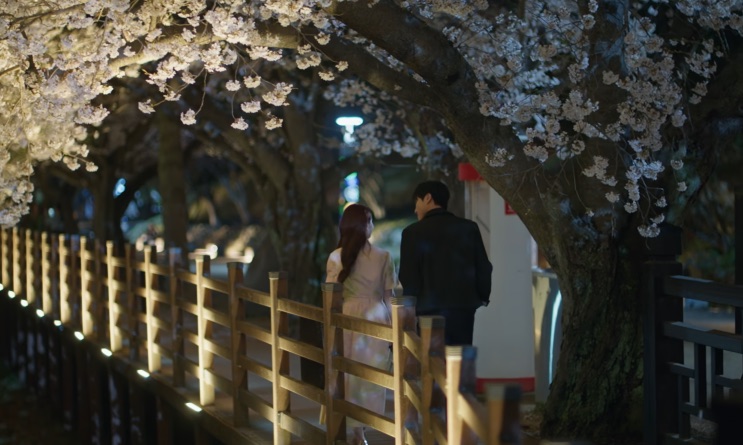 Túnel de flores iluminado à noite