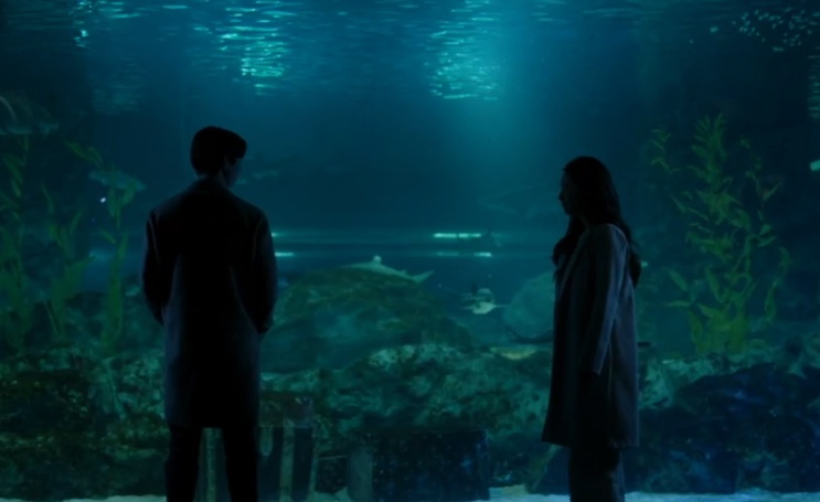 Duas silhuetas diante do vidro iluminado de um aquário, no final do filme