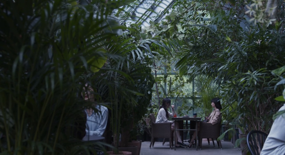 Cena de Hidden Face na estufa envidraçada, com plantas em volta