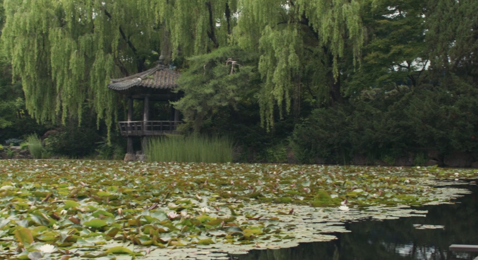 Pavilhão coreano de telhado curvo à beira de um lago coberto de vitórias-régias, entre salgueiros